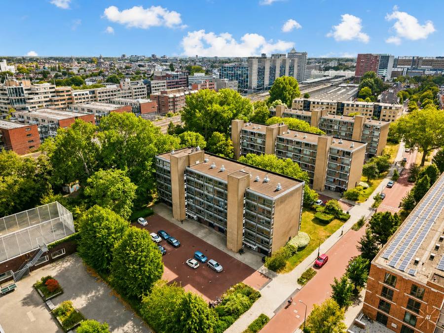 Boerhaavelaan 313, Leiden