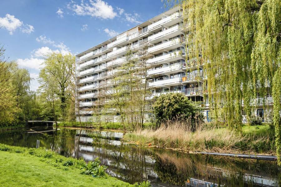 Condorhorst 95, Leiden