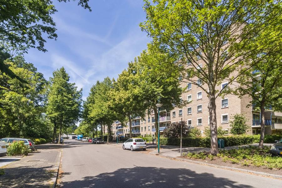 Aert van Neslaan 311, Oegstgeest