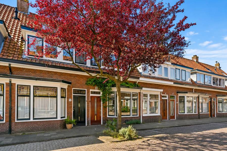 Buys Ballotstraat 35, Leiden