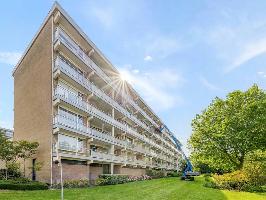 Boerhaavelaan 101, Leiden