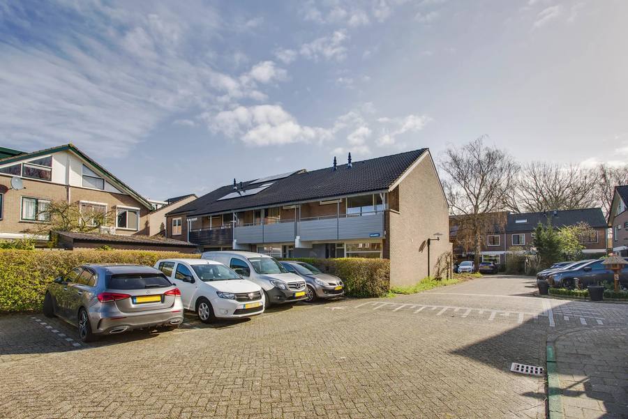 Braambes 1, Leiden