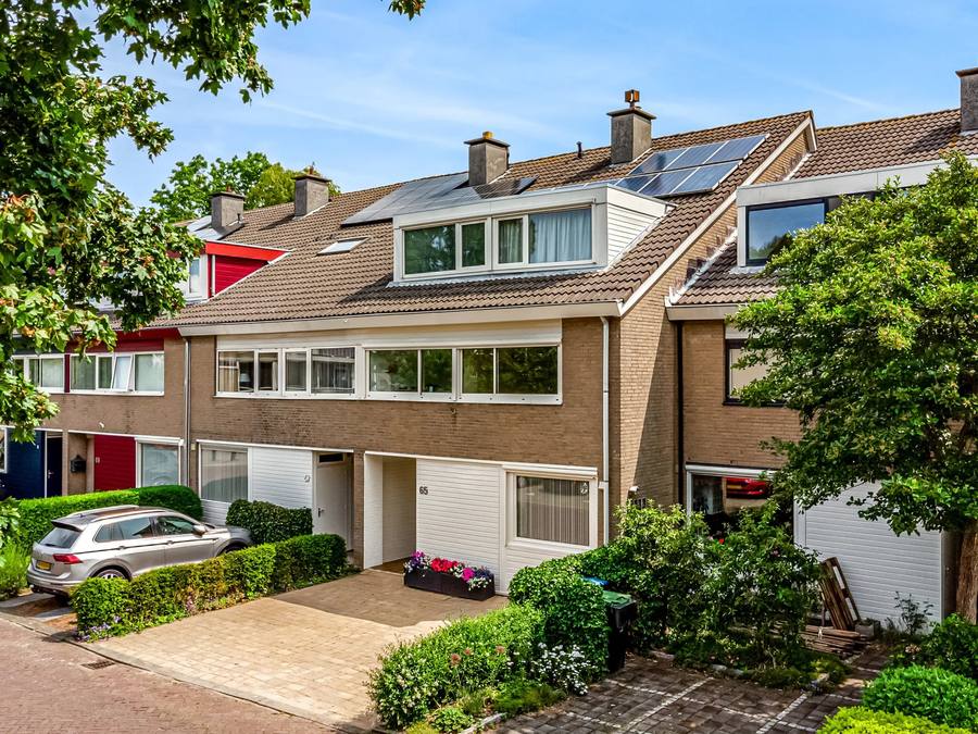 Heivlinder 65, Leiden