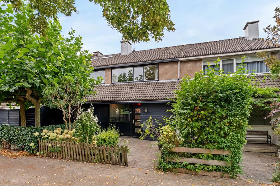 Hopvlinder 2, Leiden